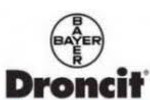 Droncit
