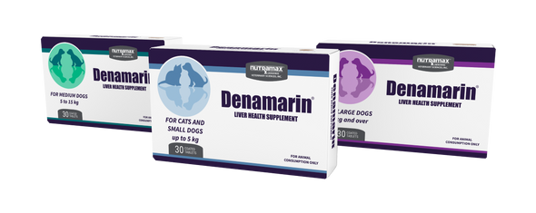 Denamarin for Large Over 15kg (30 Tablets)