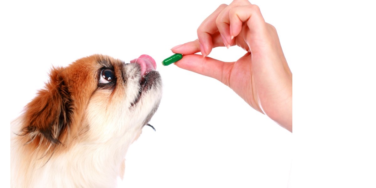 happy trails and tails