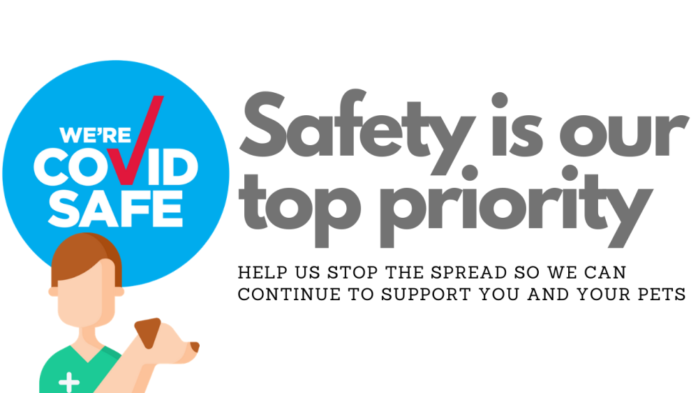 discount pet pharmacy online