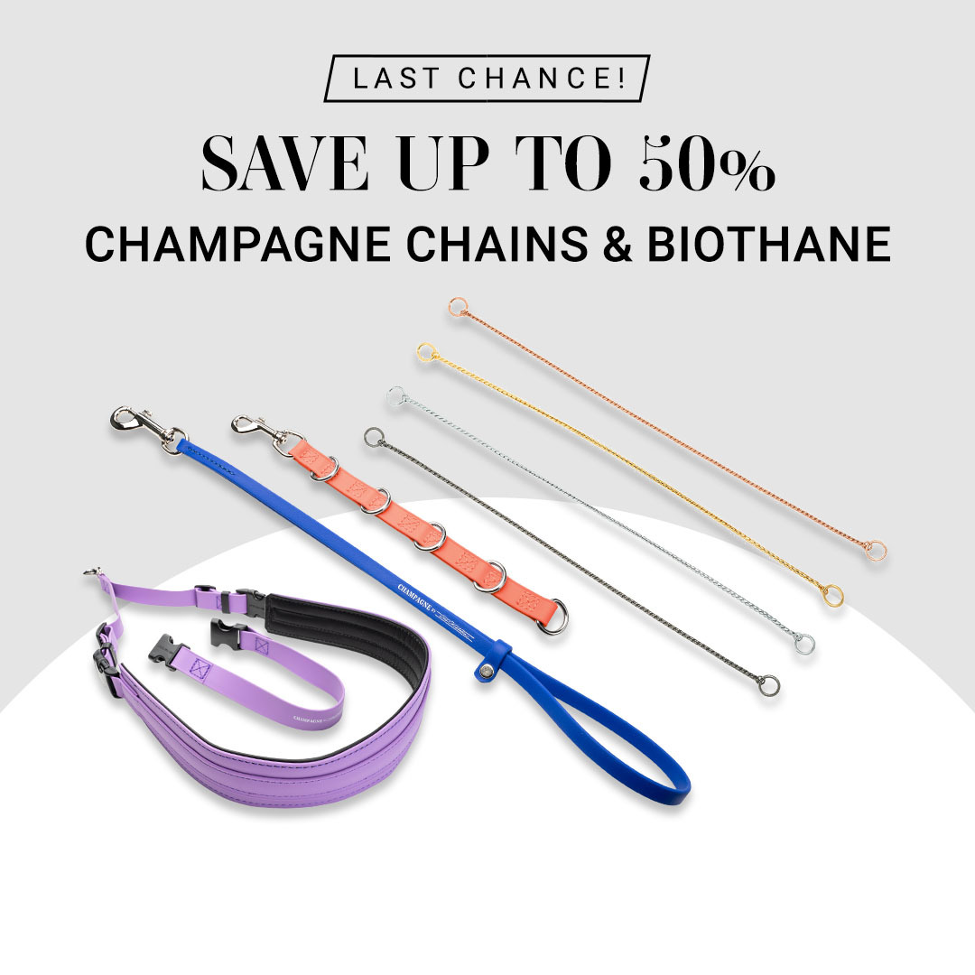 Free Brush Cover with Select Pin Brushes