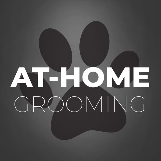 At-Home Grooming Courses