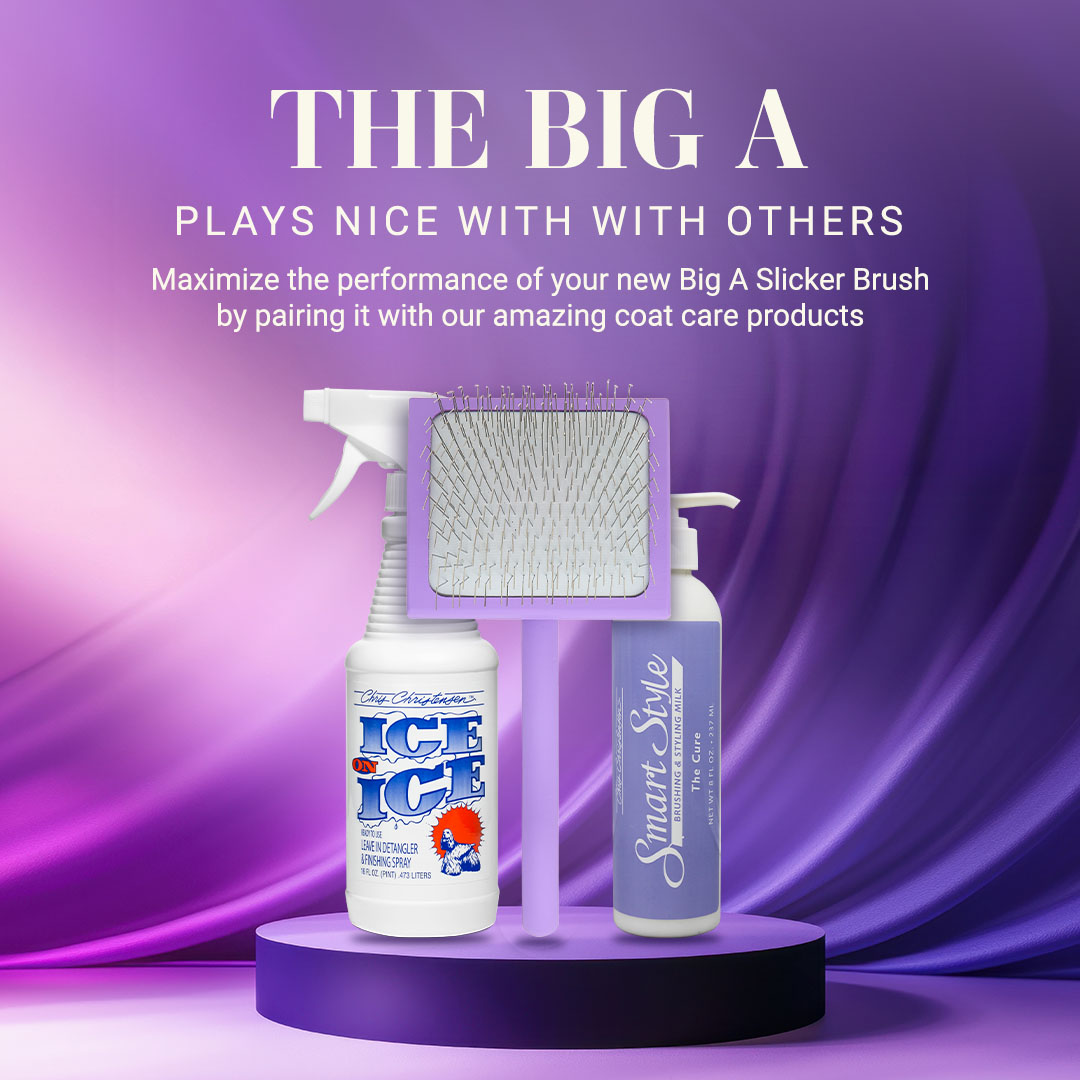 Big A: Plays Well With Others
