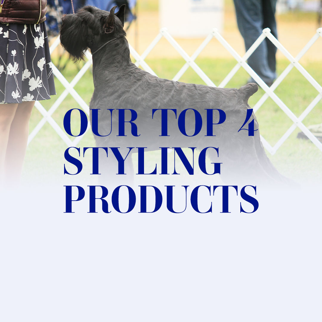Our Top 4 Styling Products