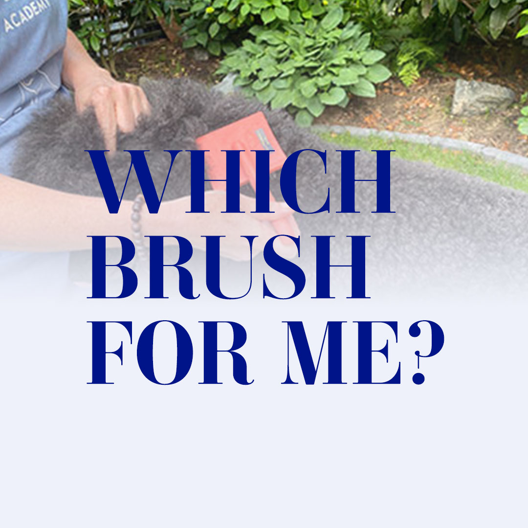 Which Brush Type Should I Use? 