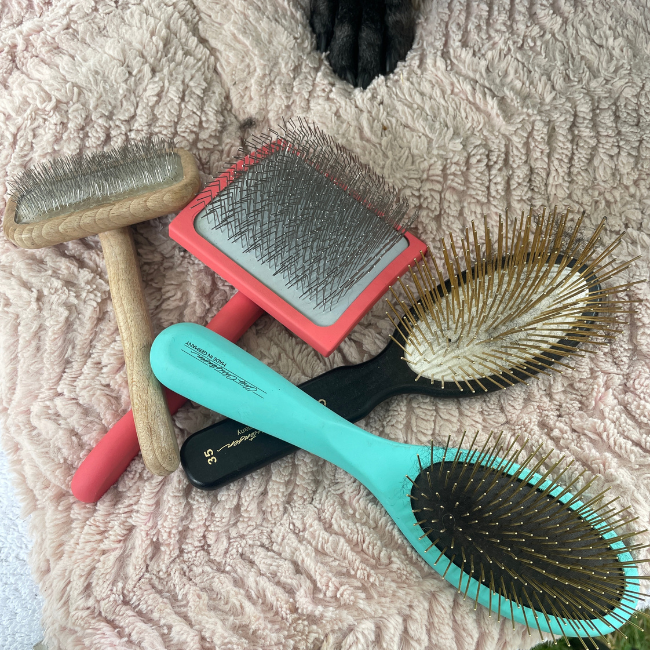 How To Clean A Boar Bristle Brush: A Complete Guide