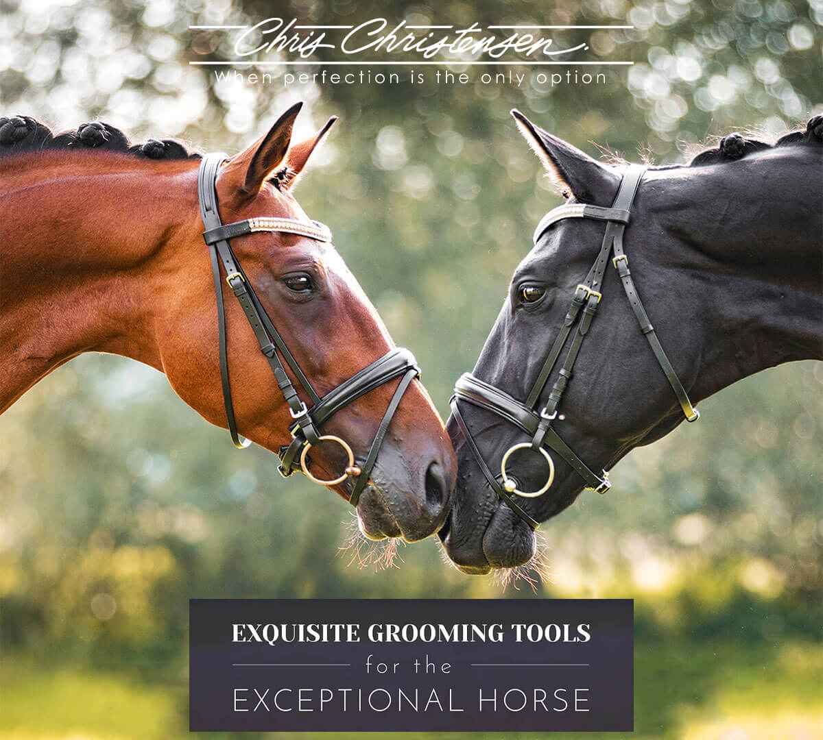 Chris Christensen Equine Collection