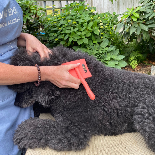 Brush Guide Slicker Brushes Chris Christensen