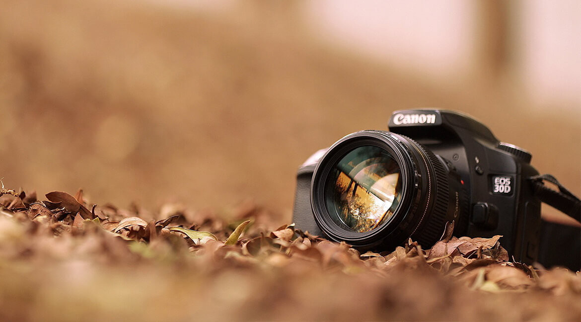 Fusce dignissim justo at justo 