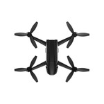 accumsan maximus est