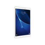 lobortis maximus ipsum at molestie