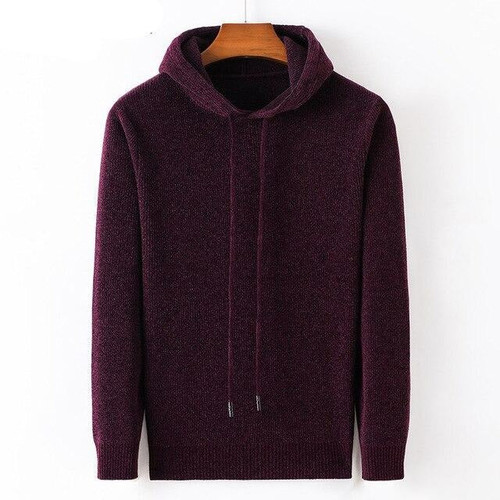 Hooded Sweater Men Clothes New Arrival Casual Knitwear Pullover Men Autumn Winter Soft Warm Pull Homme