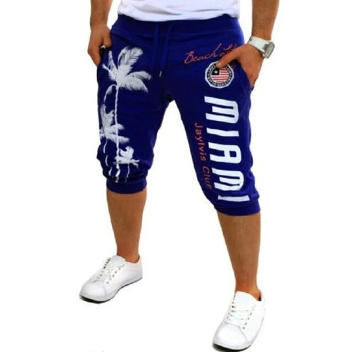 mens casual shorts summer new Casual print hip hop shorts 5 colors streetwear men shorts joggers sweatpants