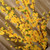 1pcs 65cm Artificial Flowers Peach Blossom Simulation Flower For Wedding Decoration fake Flowers Home Decor