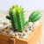 1pcs High Quality Artificial Plants Succulents Lotus Grass Leaves Landscape Simulation Plant Home Office Fake Flower Decoration