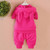 Fall baby girls clothes sets outfits hooded sweatshirt + pants tracksuit for newborn infant baby girls suit costume clothes sets