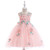 Baby Girls Floral embroidery Mesh Lace Tutu Sleeveless Dresses Princess Kids Cosplay Flower Party Dress