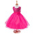 Baby Girls Floral embroidery Mesh Lace Tutu Sleeveless Dresses Princess Kids Cosplay Flower Party Dress