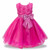 Baby Embroidered Formal Princess Dress for Girl Elegant Birthday Party Dress Girl Dress Baby Girl Christmas Clothes 2-14 Years