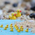 10Pieces/Pack Figurines Garden Pots Miniature Mini Resin Yellow Duck 1.8*1.5CM Fairy Garden