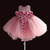 New Lace Baby Girls Dress Petal Flower Chiffon Party Princess Dress 1 Years Kids Girls Birthday Dresses Christmas Vestido 3M-4T
