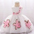 Baby Girl Dress Flower Christening Gown Newborn Baby Girls 1st Years Birthday Little Baby Tutu Dress