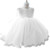 Vintage Baby Girl Dress 1-2 Years Baby Girls Birthday Dresses Vestido Party Princess Ball Gown Toddler For Christmas Party Dress