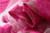 Solid color women scarf summer silk scarves for lady shawls and wraps organza Hollowed flowers beach stoles bandana foulard