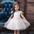 Baby Girls Dress New Flower Girls Wedding Birthday Evening Party Dress Children's Wear Lace Embroidery Princess Dress