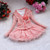 Spring Autumn Kids Girl Lace Princess Dress Cheap 1-4Yrs Flower Ball Gown Tutu Girl Dress + Coat 2PCS Baby Girl Clothes