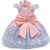 Toddler Baby Girl Infant Lace Embroidery Dress Baby Girl Wedding Dress Vintage Court Kids Dress for Baby Princess First Birthday