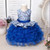 Toddler Baby Girl Infant Dress Lace Cake Tutu Baby Girl Wedding Party Dress Princess Kids Dress for Baby 1st Year Birthday