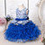 Toddler Baby Girl Infant Dress Lace Cake Tutu Baby Girl Wedding Party Dress Princess Kids Dress for Baby 1st Year Birthday