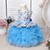 Toddler Baby Girl Infant Dress Lace Cake Tutu Baby Girl Wedding Party Dress Princess Kids Dress for Baby 1st Year Birthday
