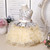 Toddler Baby Girl Infant Dress Lace Cake Tutu Baby Girl Wedding Party Dress Princess Kids Dress for Baby 1st Year Birthday