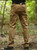 Urban Tactical Military Pants Men SWAT Multi Pockets Army Combat Cargo Pants Casual Work Stretch Cotton Trouser