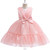 Flower Girls Wedding Dress Formal Ceremonies Ball Gown Kids Clothing Little Child Birthday Party Prom