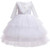 Flower Girl Baby First Birthday Party Lace Cake Dress Girl Baby First Holy Dinner Performance Beaded Cotton Dress