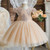 Baby 1 Year Birthday Party Dress for Evening Prom Kids Flower Wedding Lace Dresses Princess Christening Girl Gown Tulle Vestidos