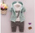 Clothes Baby Boy Clothing set Sport Suits  fashion Hooded   +T-shirt + Pants 3 pcs Boys Tracksuit Sets