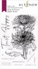 Altenew Paint a Flower Spider Mums Outline Stamp Set