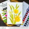 Altenew Capture the Colors of Nature Watercolor Coloring Book