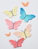 Birch Press Die Linear Boho Butterflies