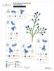 Altenew Craft a Flower Forget Me Not