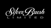 Silver Brush