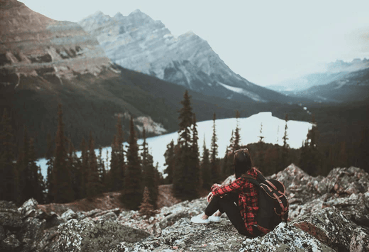 Cannabis CBD or Hemp CBD