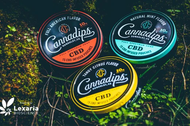 Lexaria Bioscience Corp. and Cannadips CBD Announce Licensing Agreement