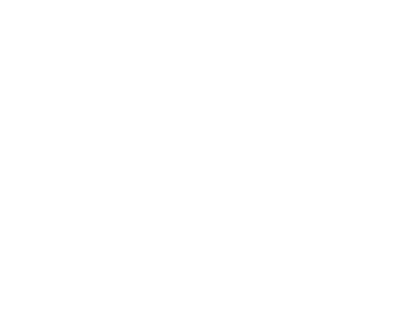 Coconut fiber filler