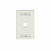 Placa de Pared Vertical, Salida Para 1 Puerto Keystone, Con Espacios Para Etiquetas, Color Blanco 