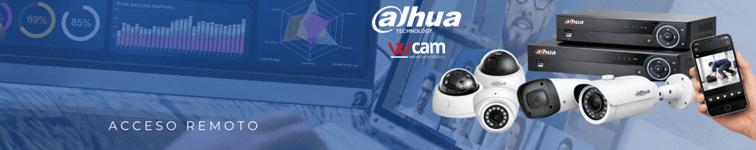 Cámaras de Vigilancia